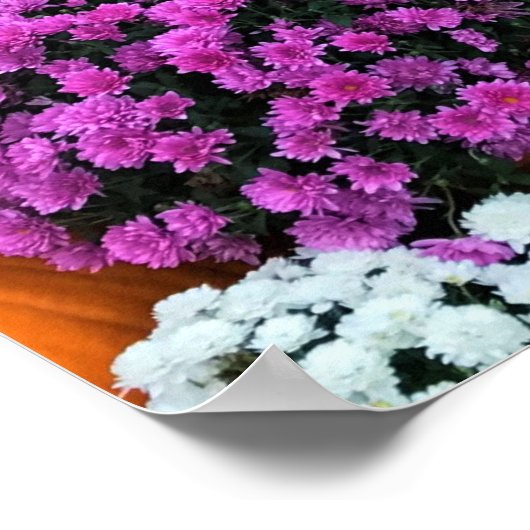 Najaar Decor Poster (Hoek)