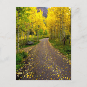 Najaar Dream Briefkaart