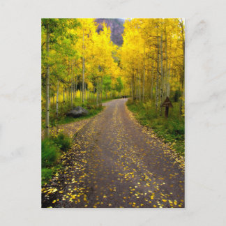 Najaar Dream Briefkaart