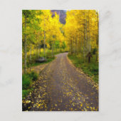 Najaar Dream Briefkaart (Voorkant)