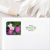 najaar Herfst bloemen roze annemonen Etiket (Insitu)
