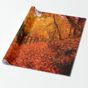 Najaar Herfst Modern Gift Wrap verlaat Sinaasappel Cadeaupapier