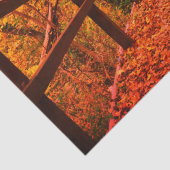 Najaar Herfst Modern Gift Wrap verlaat Sinaasappel Tissuepapier (Detail)