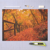 Najaar Herfst Modern Gift Wrap verlaat Sinaasappel Tissuepapier (Craft)