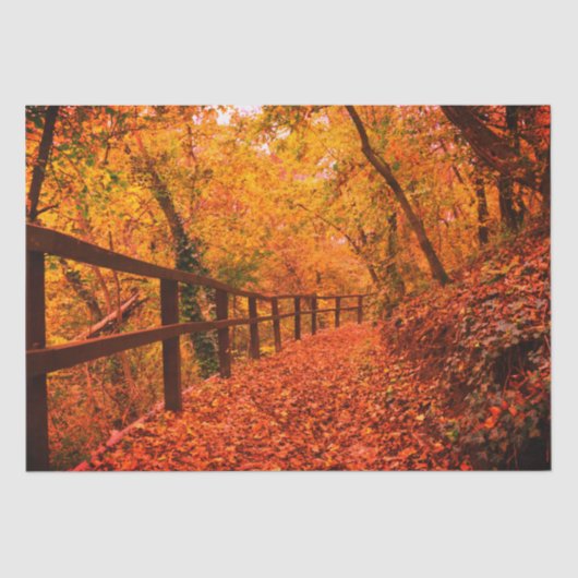 Najaar Herfst Modern Gift Wrap verlaat Sinaasappel Tissuepapier (Voorkant)