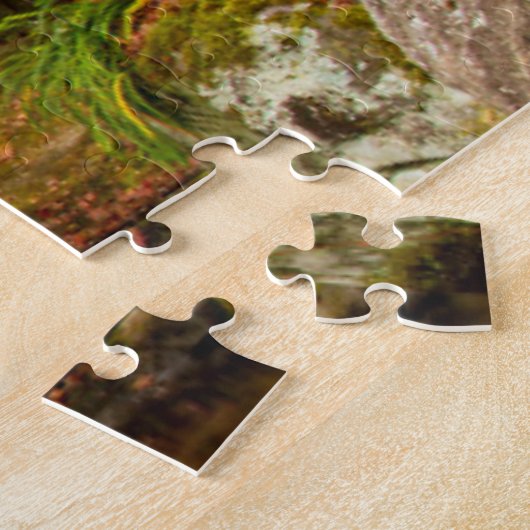 Najaar Herfst Schilderachtig Uitzicht | Waterval e Legpuzzel (Zijkant)