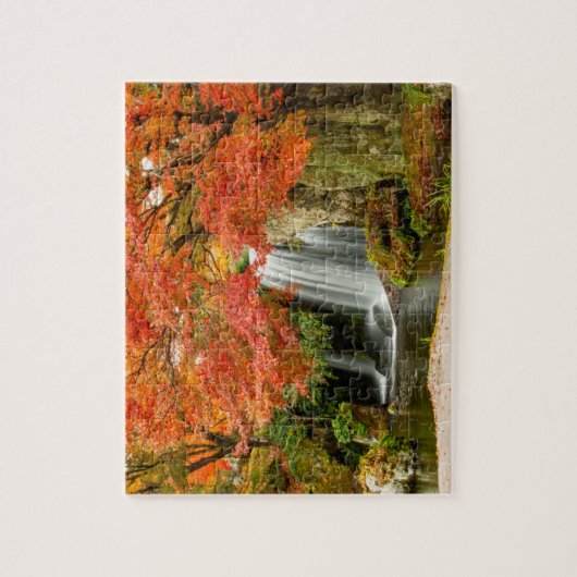 Najaar Herfst Schilderachtig Uitzicht | Waterval e Legpuzzel (Verticaal)