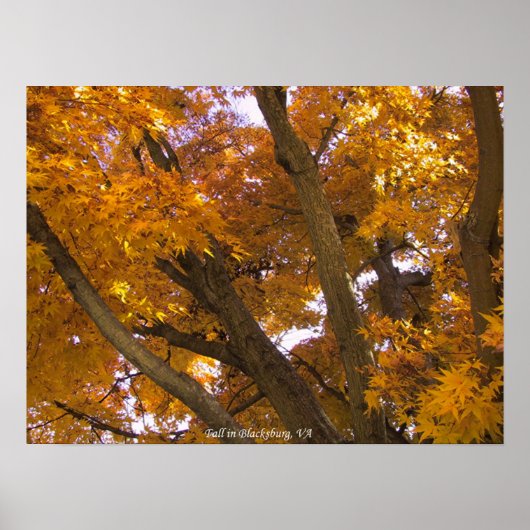 Najaar in Blacksburg, Virginia Poster (Voorkant)