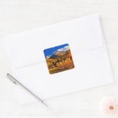 Najaar in Colorado Vierkante Sticker (Envelop)