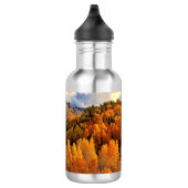 Najaar in Colorado Waterfles (Rechts)