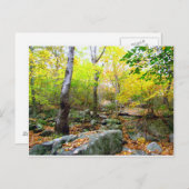 Najaar in Connecticut Briefkaart (Voorkant / Achterkant)