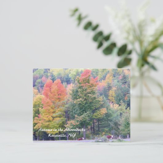 Najaar in de Adirondacks Briefkaart (Staand voorkant)