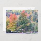 Najaar in de Adirondacks Briefkaart (Voorkant / Achterkant)