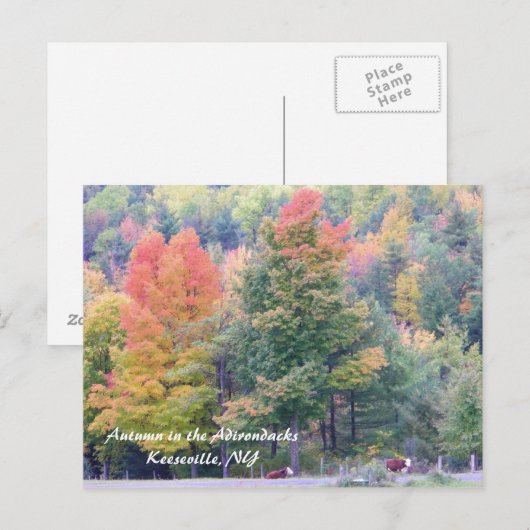 Najaar in de Adirondacks Briefkaart (Voorkant / Achterkant)