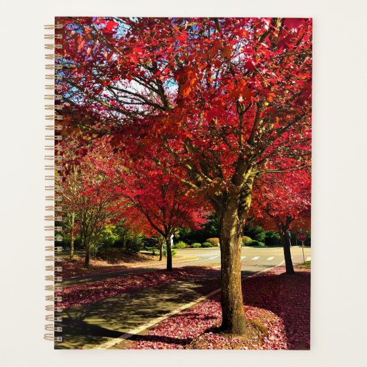 Najaar in de buurt, Oregon Planner (Voorkant)