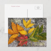 Najaar in het Briefkaart Iowa (Voorkant / Achterkant)