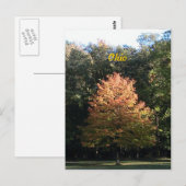 Najaar in het Briefkaart Ohio (Voorkant / Achterkant)