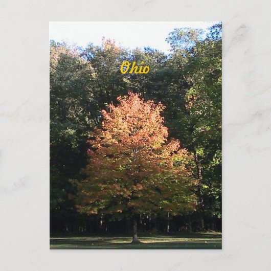 Najaar in het Briefkaart Ohio (Voorkant)