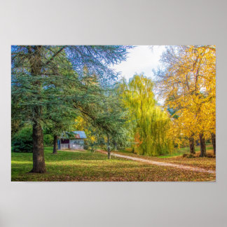 Najaar in het park poster