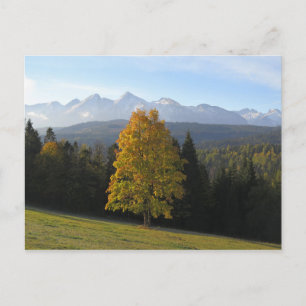 Najaar in het Poster Tatras Briefkaart