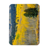 Najaar in het Ruby-bereik Magneet (Verticaal)