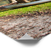 Najaar in Italië met boom en boot bij het meer Poster (Hoek)