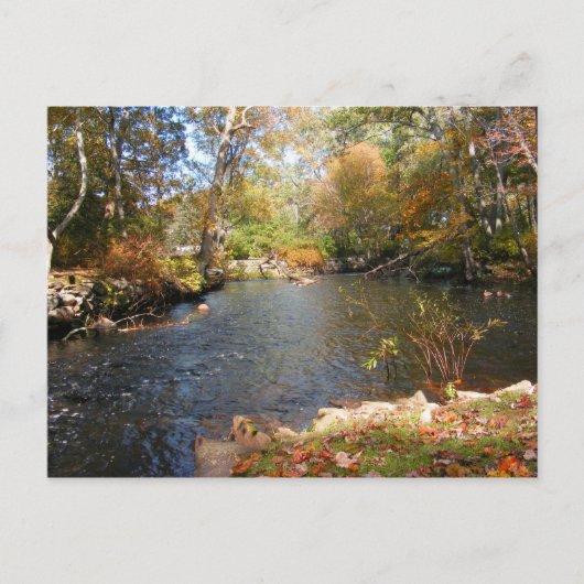 Najaar in New England 5 ~ briefkaart (Voorkant)
