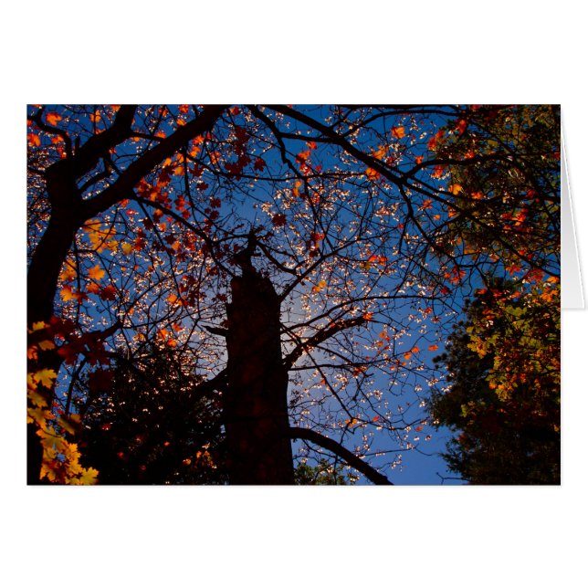 Najaar in New Mexico (Voorkant Horizontaal)