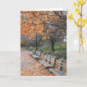 Najaar in New York Fall Leaves Riverside Park NYC Kaart (Gele Bloem)
