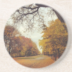 Najaar in New York Fall Leaves Riverside Park NYC Zandsteen Onderzetter