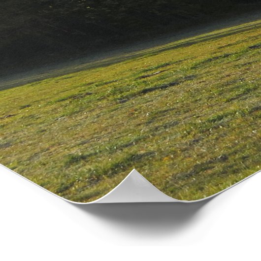 Najaar in Tatras Poster (Hoek)