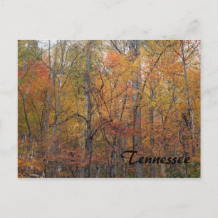Najaar in Tennessee Briefkaart