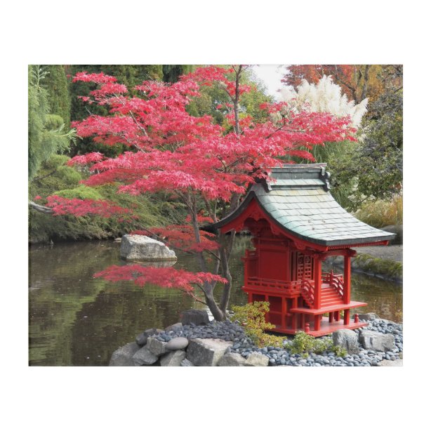 Japanse Tuin Kunst, posters en afdrukken Zazzle.nl