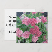 Najaar Joy Sedum Flowering Garden Plant Roze Groen Kaart (Voorkant / Achterkant)