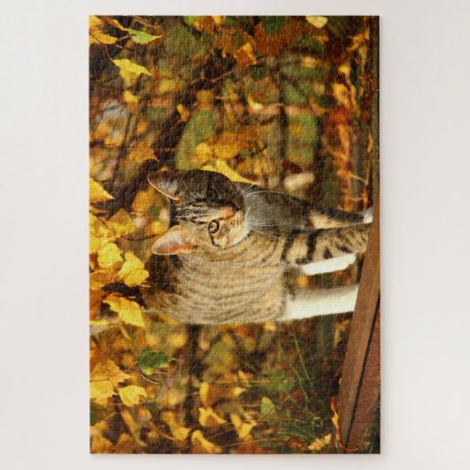 najaar kattenpuzzel legpuzzel (Verticaal)