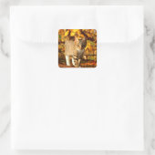 najaar kattestickers vierkante sticker (Tas)