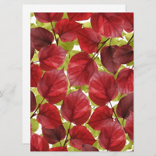 Najaar leves Pattern (Voorkant / Achterkant)