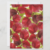 Najaar leves Pattern (Voorkant)