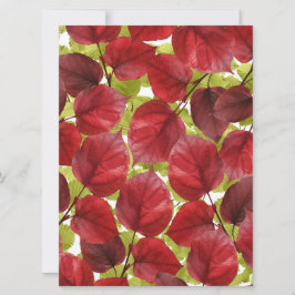 Najaar leves Pattern