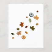 Najaar Little Pumpkin Waterverf Baby shower (Achterkant)