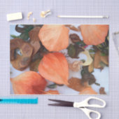 Najaar Oranje Plant Chinese lampions Tissuepapier (Craft)