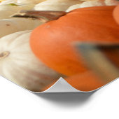 Najaar Poster Pumpkins (Hoek)