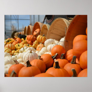 Najaar Poster Pumpkins
