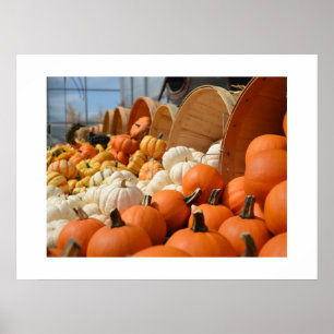 Najaar Poster Pumpkins