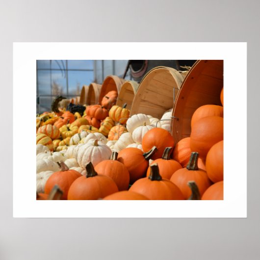 Najaar Poster Pumpkins (Voorkant)