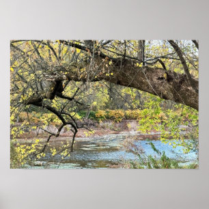 Najaar Poster waterschap