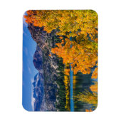 Najaar rond June Lake, Californië Magneet (Verticaal)