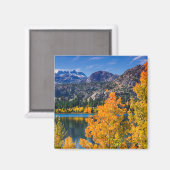 Najaar rond June Lake, Californië Magneet (Voorkant / Achterkant)