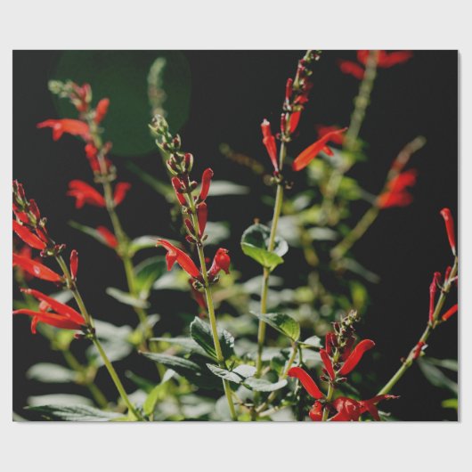 Najaar rood papier met papiervulling (Vlak)