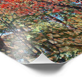 Najaar Trees-illustraties Foto Afdruk (Hoek)